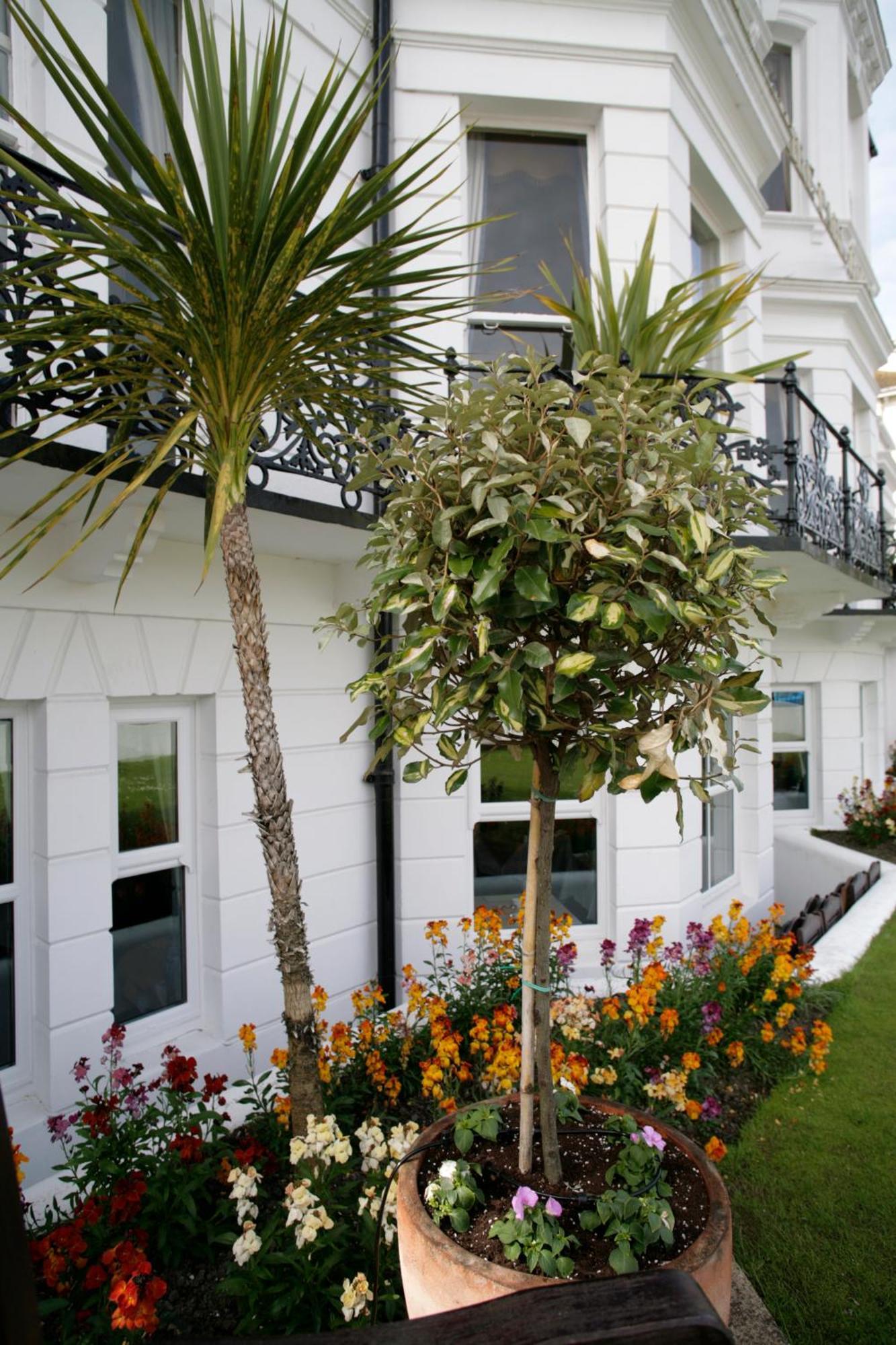 Devonshire Park Hotel Eastbourne Exteriör bild